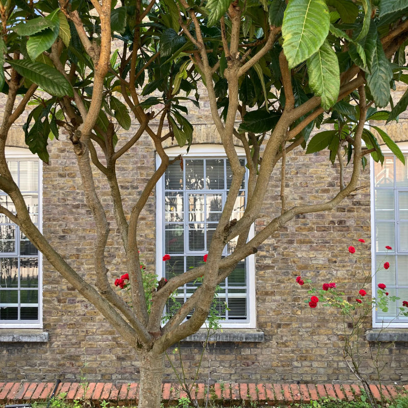 Archway Therapy